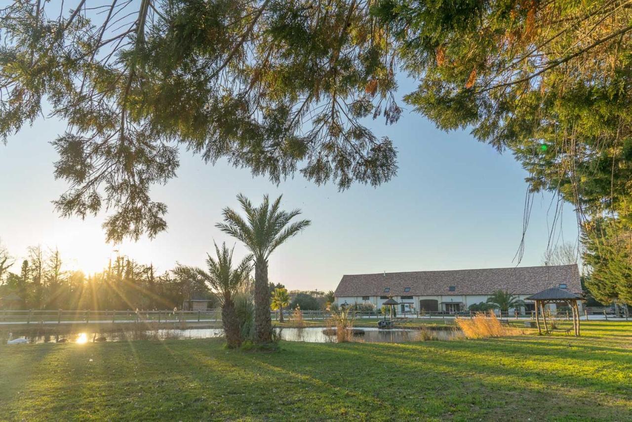 Abri Cosy - Suite Romantique En Camargue Saint-Gilles  Exterior foto