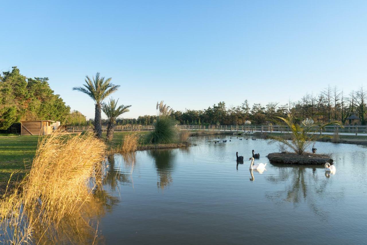 Abri Cosy - Suite Romantique En Camargue Saint-Gilles  Exterior foto